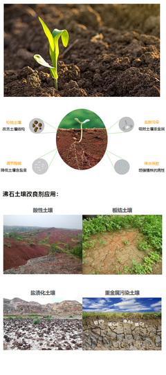 沸石土壤改良劑在土壤修復中的應用與優(yōu)勢